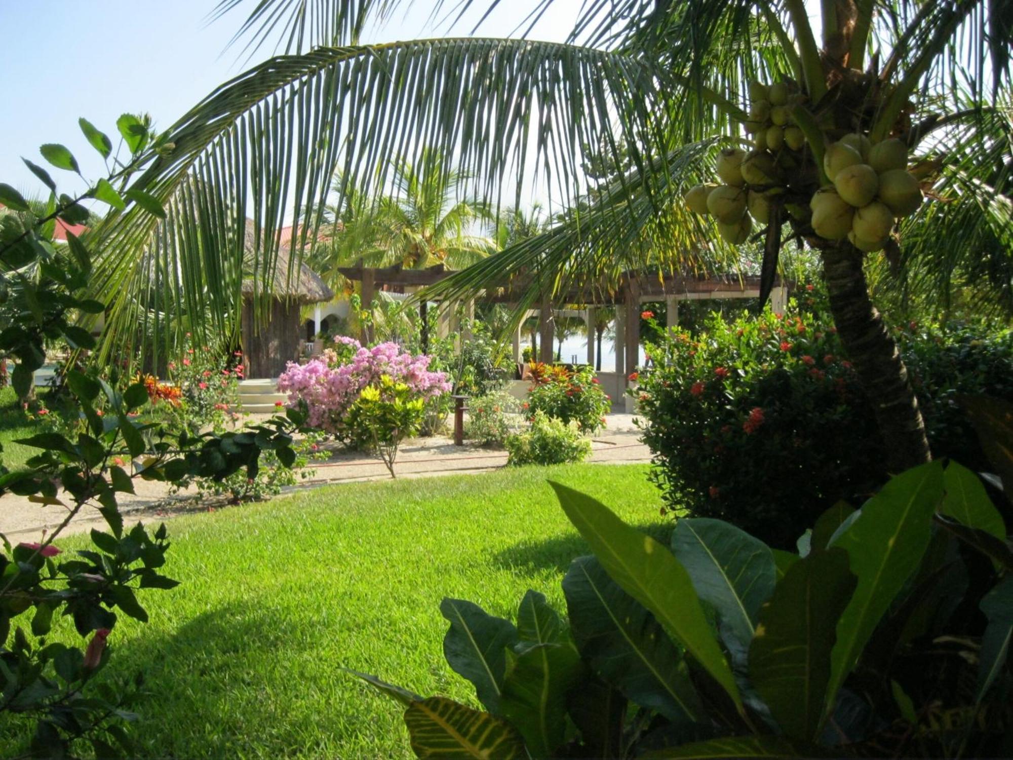 Los Porticos Placencia Szoba fotó